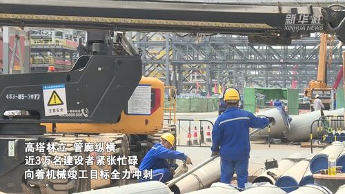 華錦阿美精細化工及原料工程建設全速推進，打造高端石化產業新標桿